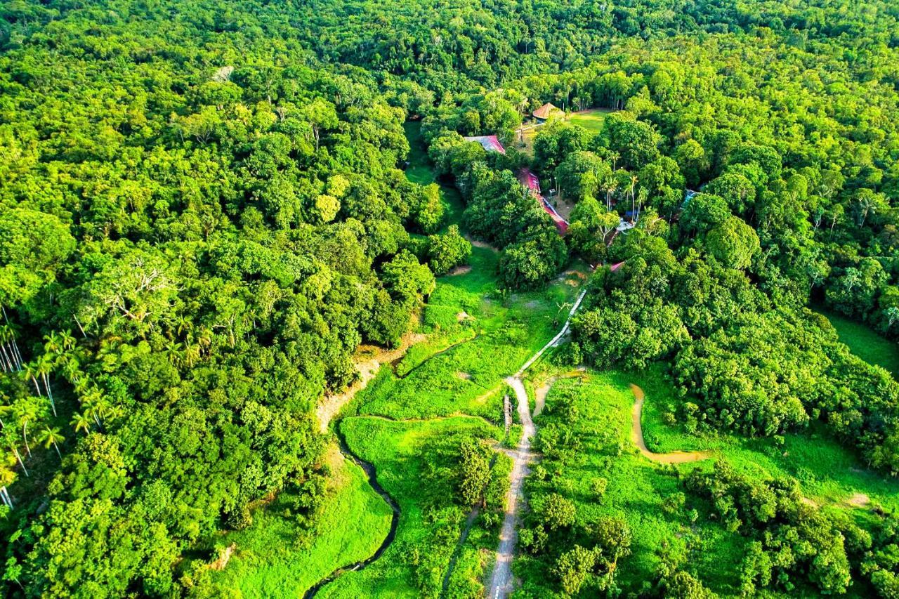 Amazonia Jungle Hotel Iranduba Zewnętrze zdjęcie