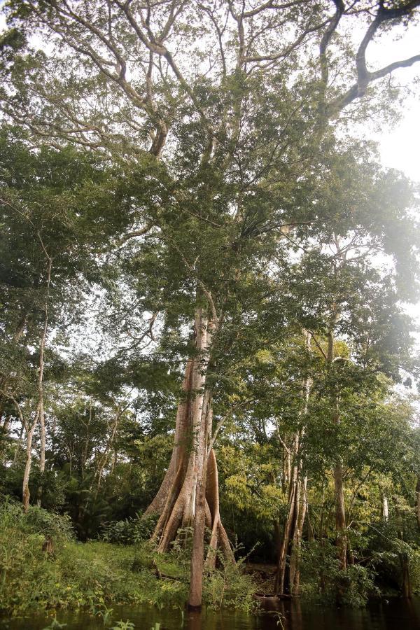 Amazonia Jungle Hotel Iranduba Zewnętrze zdjęcie