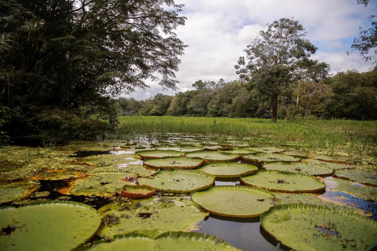 Amazonia Jungle Hotel Iranduba Zewnętrze zdjęcie